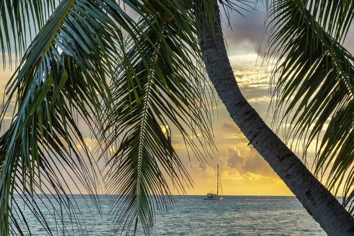 Framed Print : French Polynesia, Rangiroa Atoll. Palm tree and sailboat at sunset. ©Cathy & Gordon Illg / Jaynes Gallery / DanitaDelimont.com Framed Print : French Polynesia, Rangiroa Atoll. Palm tree and sailboat at sunset. ©Cathy & Gordon Illg / Jaynes Gallery / DanitaDelimont.com