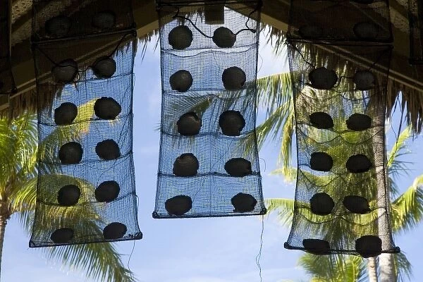 French Polynesia, Society Islands, Rangiroa. Nets with oyster shells adorn the entrance