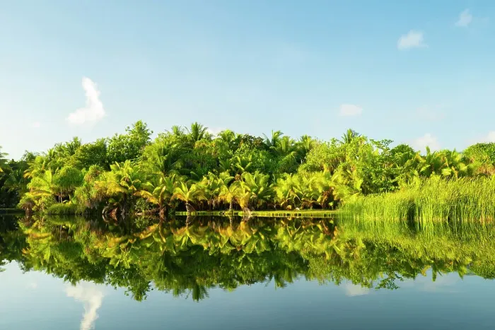 Framed Print : French Polynesia, Taha'a. Tropical jungle reflects in lagoon Framed Print : French Polynesia, Taha'a. Tropical jungle reflects in lagoon