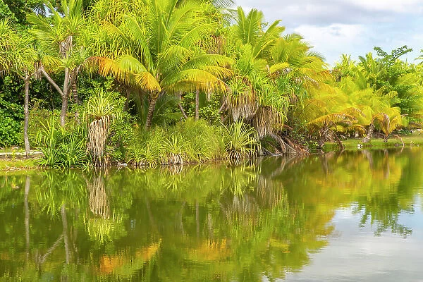 French Polynesia, Taha'a. Tropical lagoon and jungle