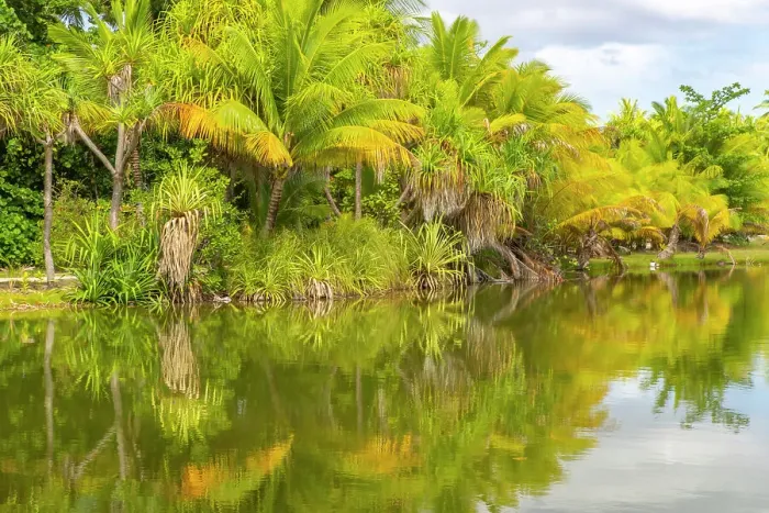 Framed Print : French Polynesia, Taha'a. Tropical lagoon and jungle Framed Print : French Polynesia, Taha'a. Tropical lagoon and jungle