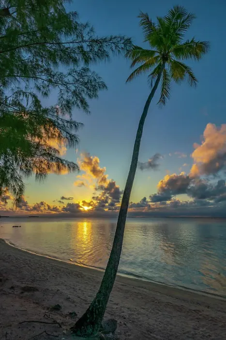 Framed Print : French Polynesia, Tikehau Atoll, palm tree sunset ©Cathy & Gordon Illg / Jaynes Gallery / DanitaDelimont.com Framed Print : French Polynesia, Tikehau Atoll, palm tree sunset ©Cathy & Gordon Illg / Jaynes Gallery / DanitaDelimont.com