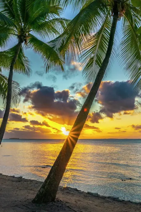 Framed Print : French Polynesia, Tikehau Atoll. Sunset on palm trees and ocean. ©Cathy & Gordon Illg / Jaynes Gallery / DanitaDelimont.com Framed Print : French Polynesia, Tikehau Atoll. Sunset on palm trees and ocean. ©Cathy & Gordon Illg / Jaynes Gallery / DanitaDelimont.com