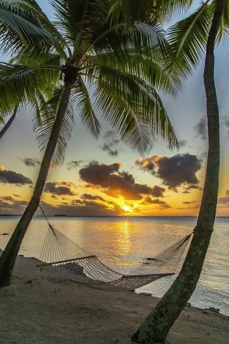 Framed Print : French Polynesia, Tikehau Atoll. Sunset on hammock between palm trees and ocean. ©Cathy & Gordon Illg  /  Jaynes Gallery  /  DanitaDelimont.com