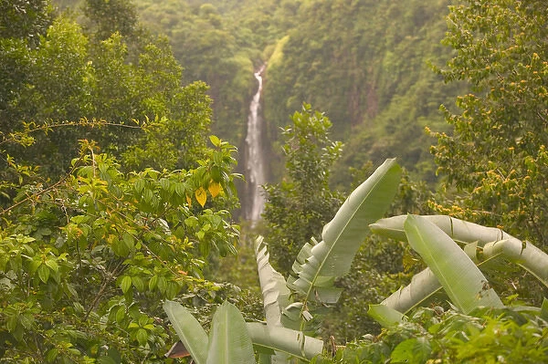 FRENCH WEST INDIES (FWI)-Guadaloupe-Basse-Terre-CHUTES DU CARBET: High Waterfall
