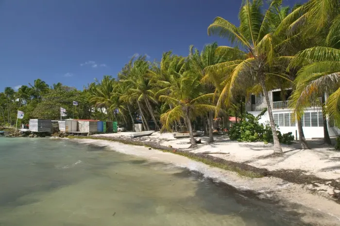 Framed Print : FRENCH WEST INDIES (FWI)-Guadaloupe-Grande-Terre-SAINTE-ANNE: Caravelle Beach-Fishing Framed Print : FRENCH WEST INDIES (FWI)-Guadaloupe-Grande-Terre-SAINTE-ANNE: Caravelle Beach-Fishing