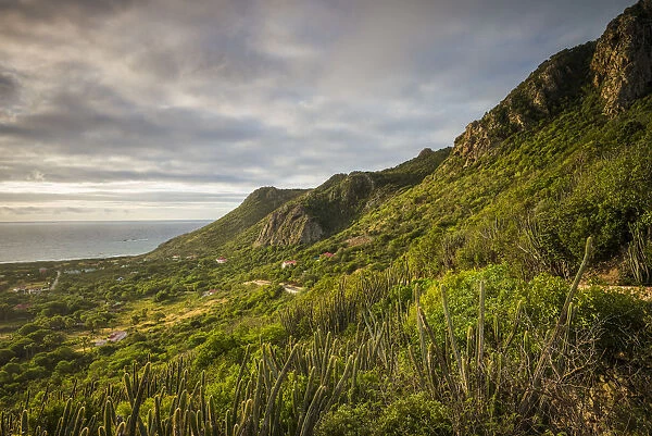 French West Indies, St-Barthelemy. Grand Fond, elevated landscape, dawn