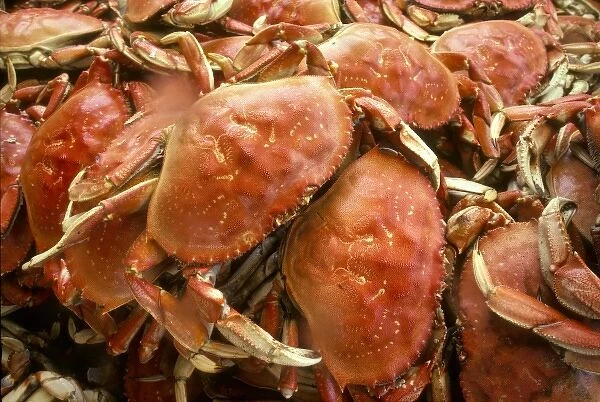 Fresh crab in Pike Street Market, Seattle, Washington, USA