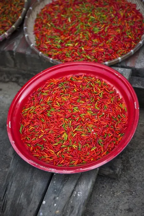 Framed Print : Fresh dried chillies at the Luang Prabang night market Framed Print : Fresh dried chillies at the Luang Prabang night market