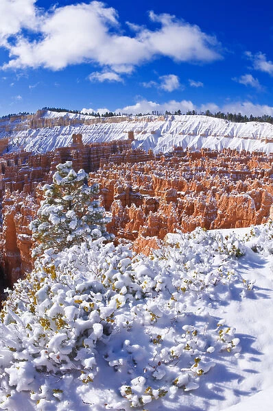 Fresh powder on rock formations in the Silent City, Bryce Canyon National Park, Utah