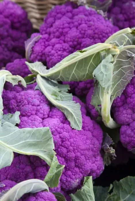Framed Print : Fresh produce at the Farmers Market in Whitefish, Montana