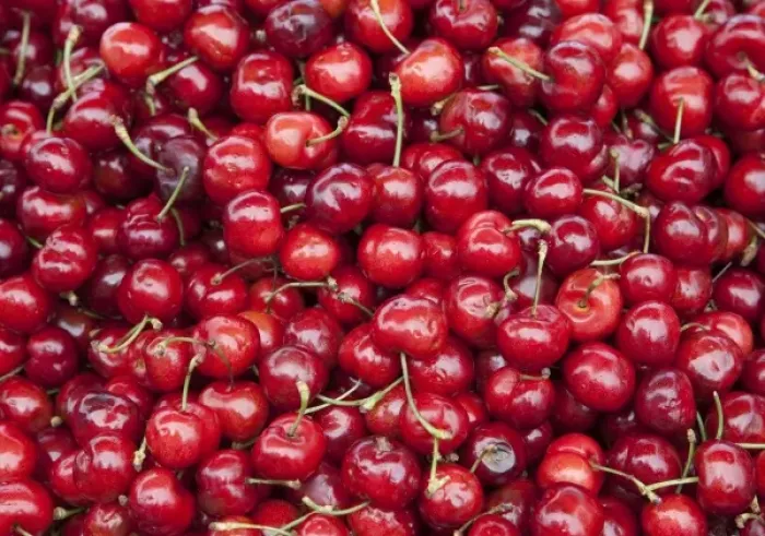 Framed Print : Fresh ripe cherries on display at market