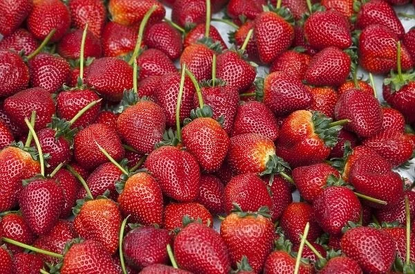 Fresh ripe strawberries on display at market
