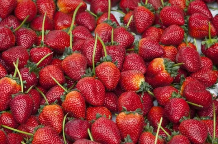 Framed Print : Fresh ripe strawberries on display at market Framed Print : Fresh ripe strawberries on display at market