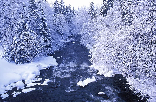 Fresh snow and the Connecticut River between First and Second Connecticut Lakes. Northern Forest