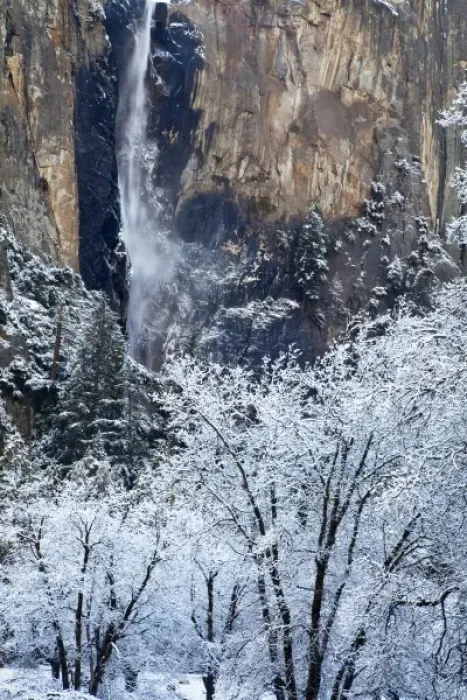 Framed Print : Fresh snowfall coats the trees below Bridalveil Falls in Yosemite National Park, California Framed Print : Fresh snowfall coats the trees below Bridalveil Falls in Yosemite National Park, California
