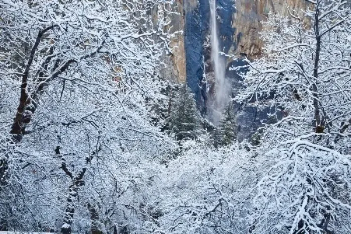 Framed Print : Fresh snowfall in the trees below Bridalveil Falls in Yosemite National Park, California