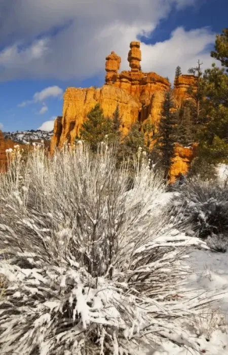 Framed Print : Fresh spring snowfall coats the red rocks and hoodoos at Red Canyon in the Dixie Framed Print : Fresh spring snowfall coats the red rocks and hoodoos at Red Canyon in the Dixie