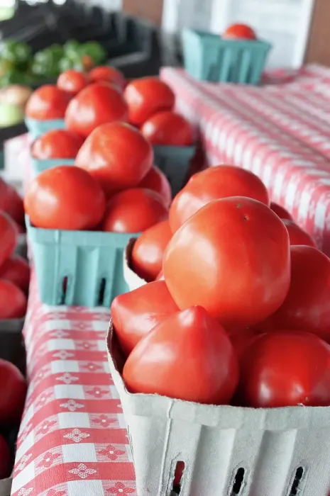 Framed Print : Fresh tomatoes in Shipshewana farmers market in Amish country Indiana Framed Print : Fresh tomatoes in Shipshewana farmers market in Amish country Indiana
