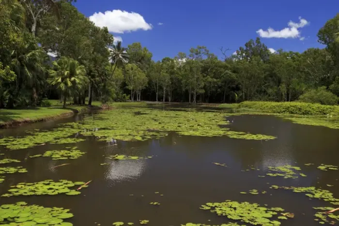 Framed Print : The fresh water lake section of of Centenary Lakes adjoining the Botanic Gardens