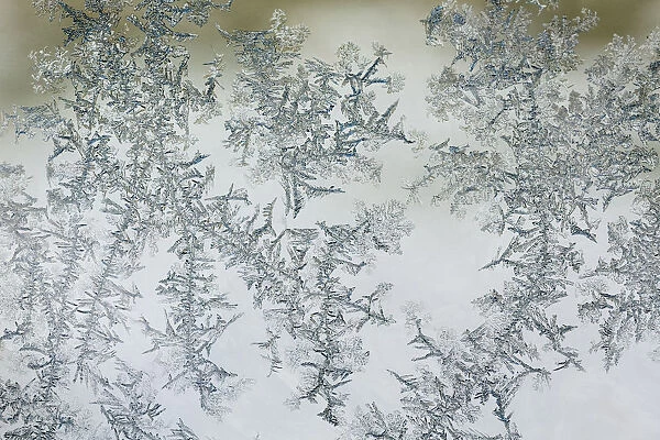 Frost pattern on window