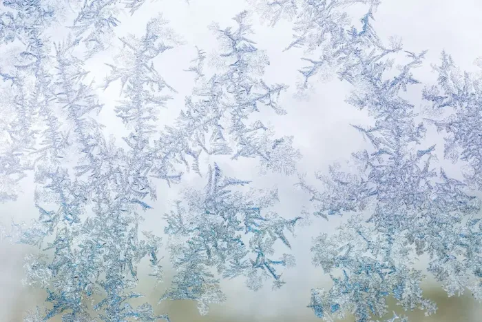 Framed Print : Frost pattern on window