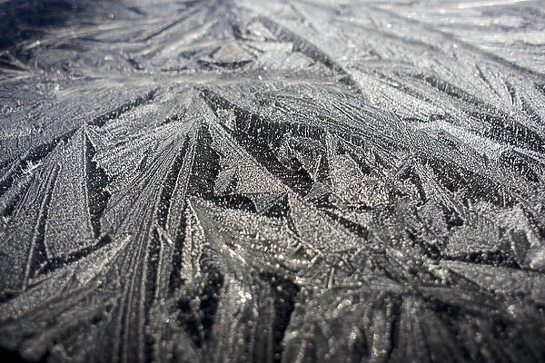 Frost pattern. Winter in British Columbia brings a variety of landscapes and closeups