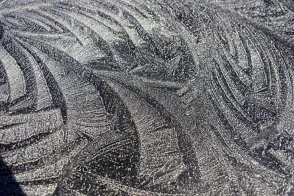 Frost patterns. Winter in British Columbia brings a variety of landscapes and closeups