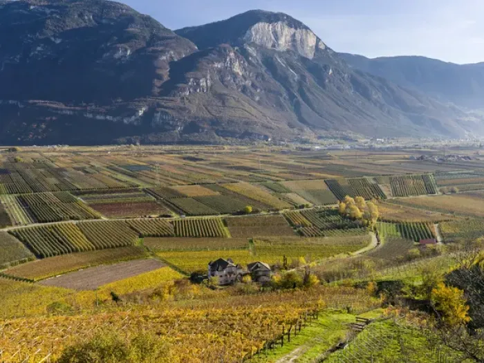 Framed Print : Fruit growing and viniculture in South Tyrol - Alto Adige. europe, central europe