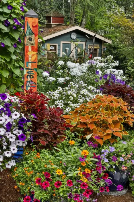 Framed Print : Garden in full bloom with garden shed, Sammamish, Washington State Framed Print : Garden in full bloom with garden shed, Sammamish, Washington State