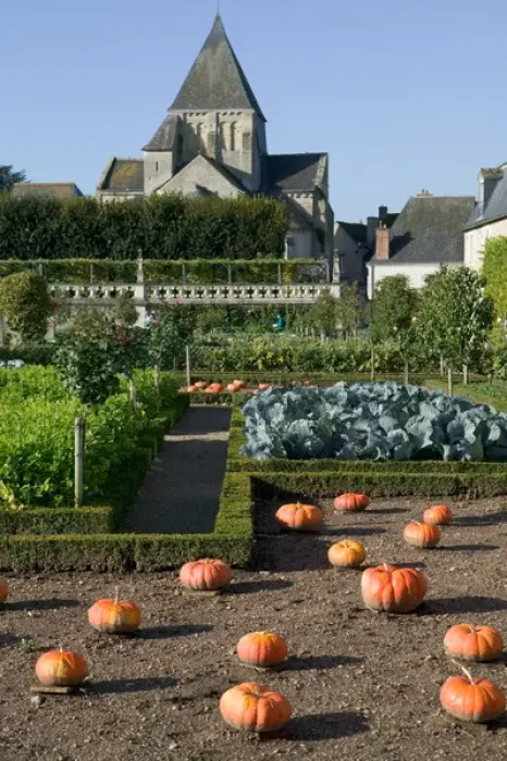 Framed Print : Garden at the Chateau of Villandry in autumn, Indre-et-Loire, Loire Valley, France Framed Print : Garden at the Chateau of Villandry in autumn, Indre-et-Loire, Loire Valley, France