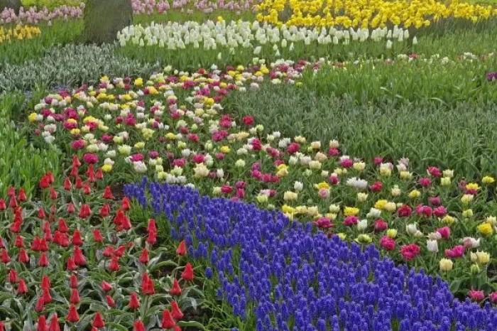 Framed Print : Garden design of Framed Print : Garden design of