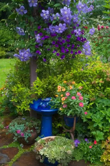 Framed Print : Garden designs in our Garden Sammamish, Washington