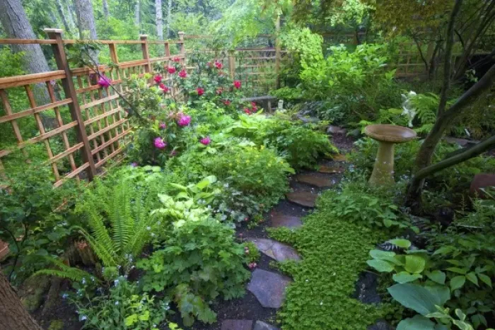 Framed Print : Garden designs and pathway in shade garden - in our Garden Sammamish, Washington