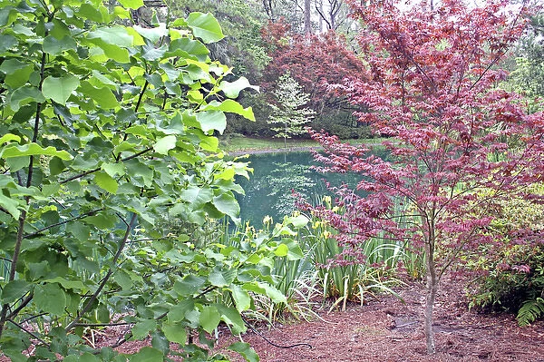 Garden landscaping pond at Alfred Maclay Gardens State Park Tallahassee Florida