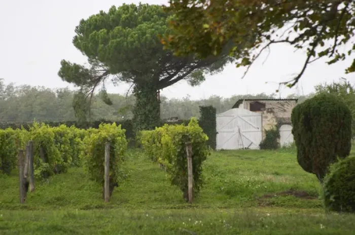 Framed Print : The garden or park at the chateau is mainly used as a vineyard Chateau de Cerons
