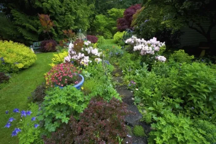 Framed Print : Garden path designs in our Garden Sammamish, Washington