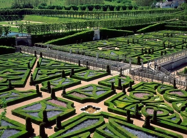 Garden at Villandry Chateau, Indre-et-Loire, Loire Valley, France