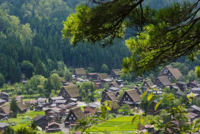 Framed Print : Gassho-zukuri houses and farmland in the mountain, Shirakawa-go, Gifu Prefecture, Japan