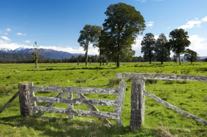 Framed Print : Gate and Farmland near Fox Glacier, West Coast, South Island, New Zealand Framed Print : Gate and Farmland near Fox Glacier, West Coast, South Island, New Zealand