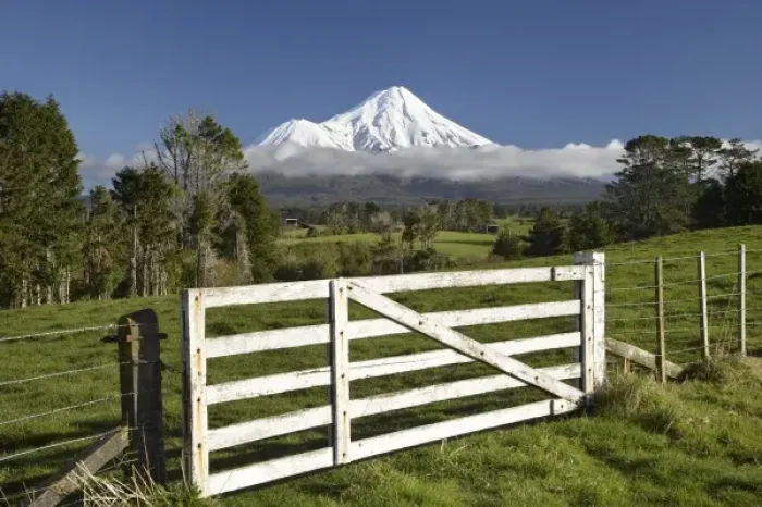 Framed Print : Gate and Farmland near Stratford and Mt Taranaki / Mt Egmont, Taranaki, North Island Framed Print : Gate and Farmland near Stratford and Mt Taranaki / Mt Egmont, Taranaki, North Island