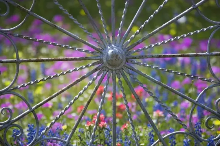 Framed Print : Gate and Fence made out of metal in the design of wheels with backdrop of Texas Wildflowers Framed Print : Gate and Fence made out of metal in the design of wheels with backdrop of Texas Wildflowers