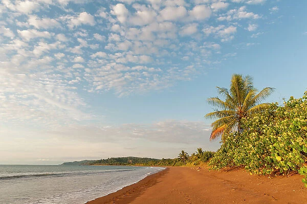 Gentle surf surging onto the sandy beach at Drake Bay, Osa Peninsula, Costa Rica