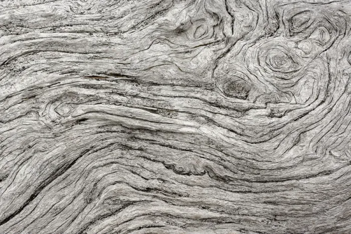 Framed Print : Geometric pattern in eroded driftwood, Bandon Beach, Oregon Framed Print : Geometric pattern in eroded driftwood, Bandon Beach, Oregon