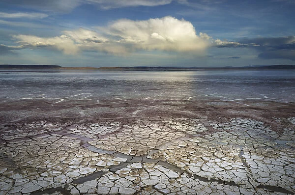 Geometric patterns in drying mud, Alvord Lake, a seasonal shallow alkali lake in Harney County