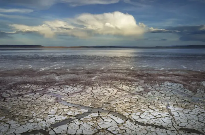 Framed Print : Geometric patterns in drying mud, Alvord Lake, a seasonal shallow alkali lake in Harney County