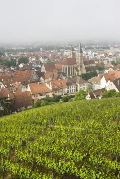Framed Print : GERMANY, Baden-Wurttemberg, Esslingen Am Neckar. Town view from vineyards Framed Print : GERMANY, Baden-Wurttemberg, Esslingen Am Neckar. Town view from vineyards