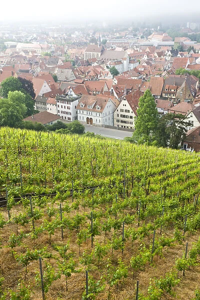 GERMANY, Baden-Wurttemberg, Esslingen Am Neckar. Town view from vineyards
