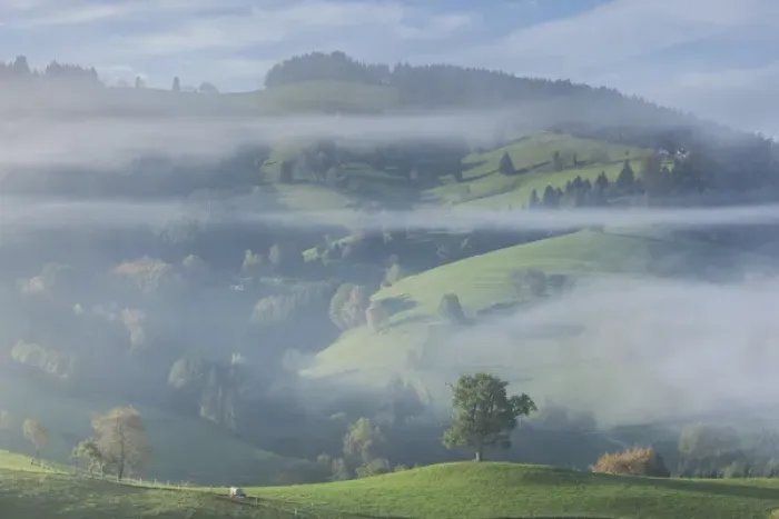 Framed Print : Germany, Baden-Wurttemburg, Black Forest, Horben, morning fog, autumn Framed Print : Germany, Baden-Wurttemburg, Black Forest, Horben, morning fog, autumn