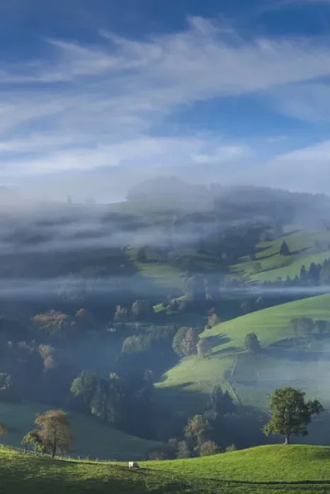 Framed Print : Germany, Baden-Wurttemburg, Black Forest, Horben, morning fog, autumn